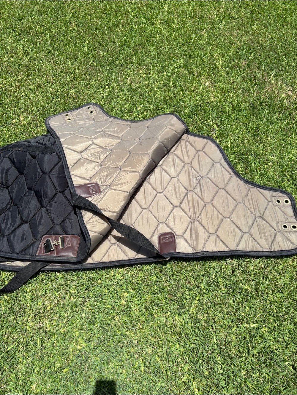 Black Quilted Horse show winter blanket - Picture 2 of 5